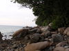 M_009.JPG